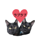 ほたる＆こまち 3（個別スタンプ：24）