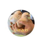 ピクニカスタンプ（個別スタンプ：2）