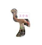 ピクニカスタンプ（個別スタンプ：11）