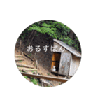 ピクニカスタンプ（個別スタンプ：12）