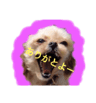 れぽば弐（個別スタンプ：2）