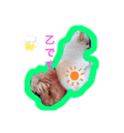 れぽば弐（個別スタンプ：4）