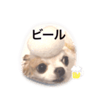 れぽば弐（個別スタンプ：10）