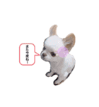 れぽば弐（個別スタンプ：15）