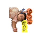 我が家のふうちゃんスタンプ（個別スタンプ：12）