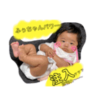 我が家のふうちゃんスタンプ（個別スタンプ：16）