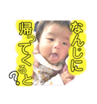 我が家のふうちゃんスタンプ（個別スタンプ：18）