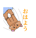 むちむち猫4（個別スタンプ：8）