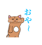 むちむち猫4（個別スタンプ：11）