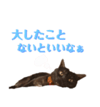 かぎさんと紫苑 8（個別スタンプ：1）