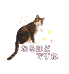かぎさんと紫苑 8（個別スタンプ：7）