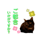 かぎさんと紫苑 8（個別スタンプ：10）