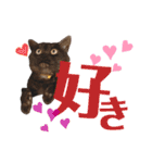 かぎさんと紫苑 8（個別スタンプ：17）