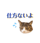 かぎさんと紫苑 8（個別スタンプ：21）