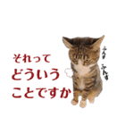かぎさんと紫苑 8（個別スタンプ：23）