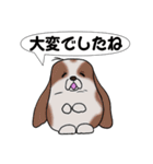 バセットハウンド？(犬) 38（個別スタンプ：11）