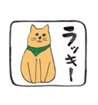 幸運な言葉・茶色い猫（個別スタンプ：20）