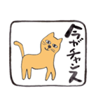 幸運な言葉・茶色い猫（個別スタンプ：27）