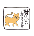 幸運な言葉・茶色い猫（個別スタンプ：32）