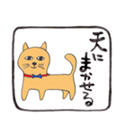 幸運な言葉・茶色い猫（個別スタンプ：37）