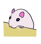 ゆるモルモット（個別スタンプ：38）