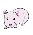 ゆるモルモット（個別スタンプ：39）