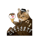 ニャンコの返事4（個別スタンプ：7）