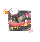あたいのすたんぷw（個別スタンプ：22）