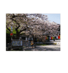 湘南・鎌倉の花2（個別スタンプ：14）