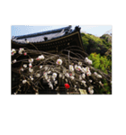 湘南・鎌倉の花2（個別スタンプ：35）