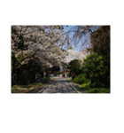 湘南・鎌倉の花2（個別スタンプ：36）