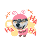 柴犬モコ＆稲穂2（個別スタンプ：5）