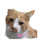 ❤可愛いレオン❤（個別スタンプ：1）