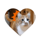 ❤可愛いレオン❤（個別スタンプ：7）