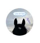 Dizeru◡̈*.。（個別スタンプ：3）