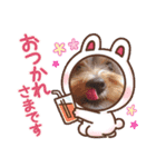 わんこの日常生活2（個別スタンプ：5）