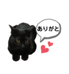 びびりのびびちゃんスタンプ（個別スタンプ：3）