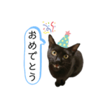 びびりのびびちゃんスタンプ（個別スタンプ：5）