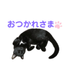 びびりのびびちゃんスタンプ（個別スタンプ：6）
