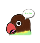 ボタンインコ長野弁（個別スタンプ：2）