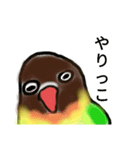 ボタンインコ長野弁（個別スタンプ：6）