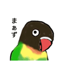 ボタンインコ長野弁（個別スタンプ：7）