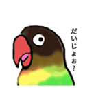 ボタンインコ長野弁（個別スタンプ：8）
