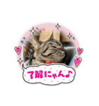 ニコルの日常（個別スタンプ：10）