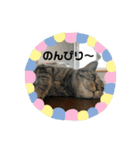 ニコルの日常（個別スタンプ：14）