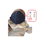 公ちゃまスタンプ（個別スタンプ：3）