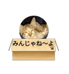 おスピ〜劇場版（個別スタンプ：18）