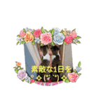 おスピ〜劇場版（個別スタンプ：20）