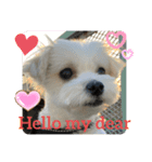 ❤️めりる・えいご❤️（個別スタンプ：7）