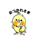 リロルルさんちの日常。使えるスタンプ1（個別スタンプ：11）